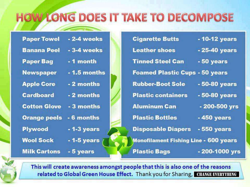 How Long Does It Take To Decompose It S Frightening Women Of Green