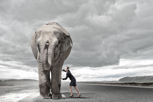 Woman moving elephant