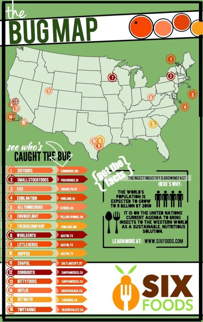 Cricket Eating Buzz In America