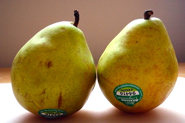 Pears with organic PLU code