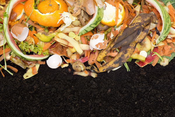 Food Waste Becomes Compost