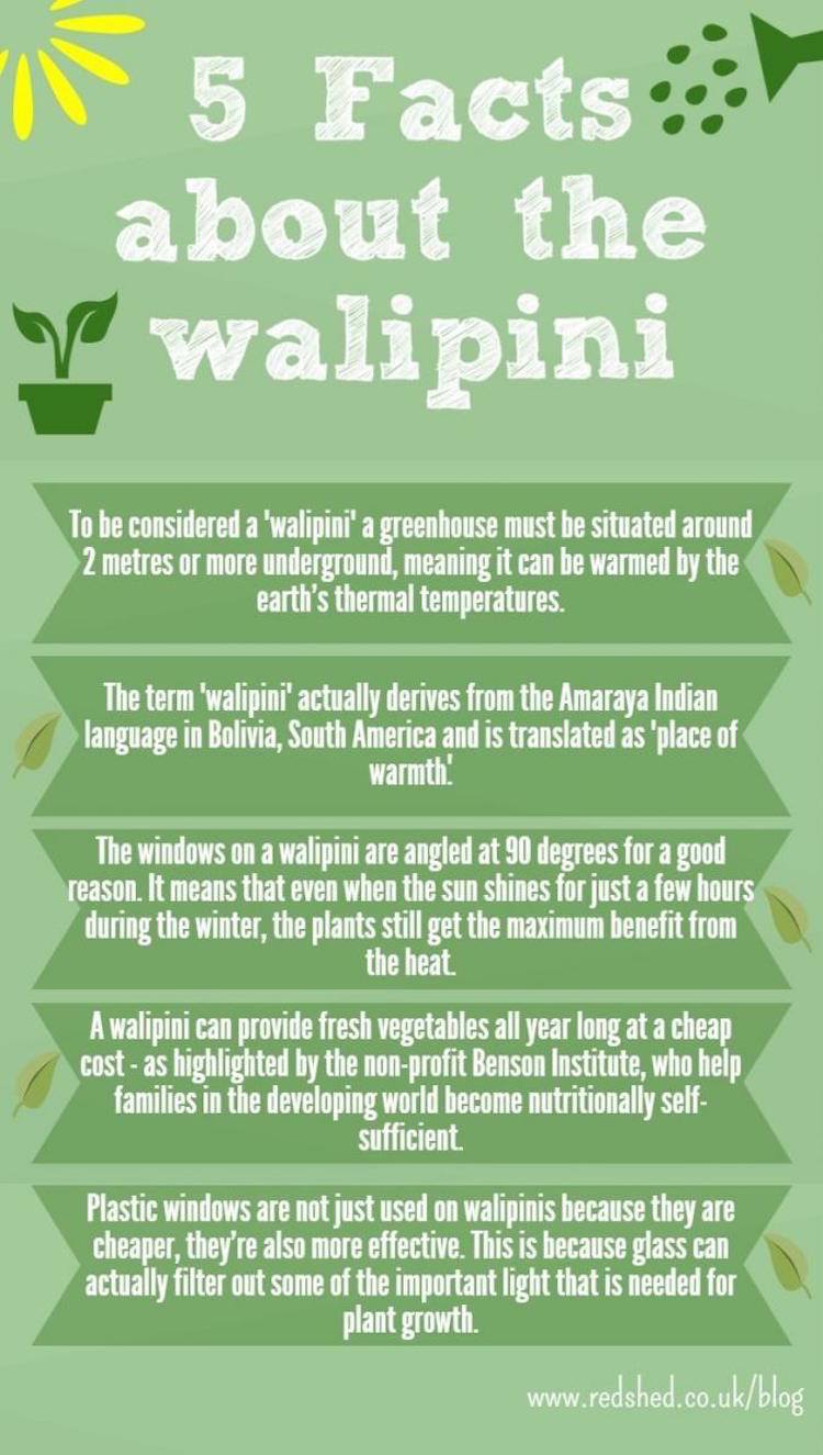 Walipini Infographic - 5 Things You Should Know About Underground Greenhouses