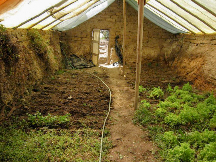 Inside underground greenhouse that utilizes earth's median warmth and solar gain to grow food year round.