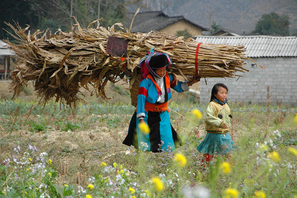 photo-women-daily-lives-vietnam-women-of-green