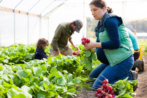 emalefarmer-the-grower-women-of-green