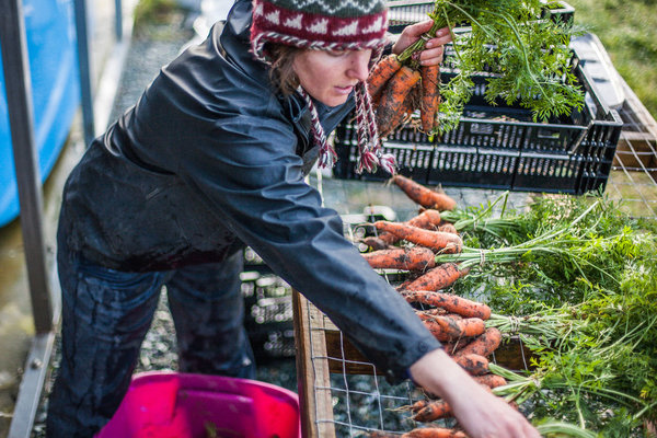 femalefarmer-the_scientist