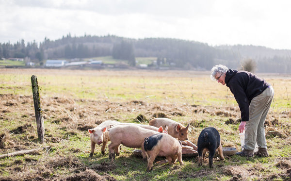 femalefarmer4-women-of-green