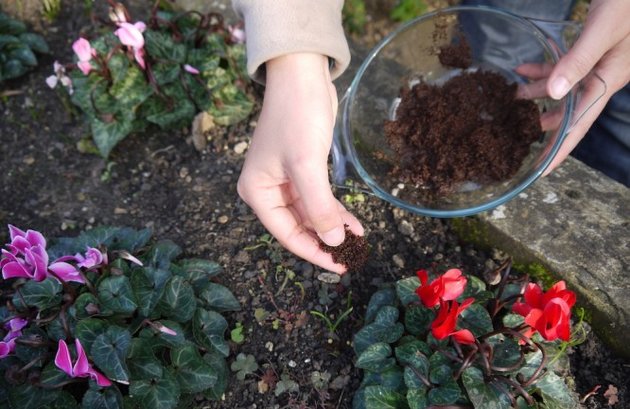 coffee-fertilizer-women-of-green