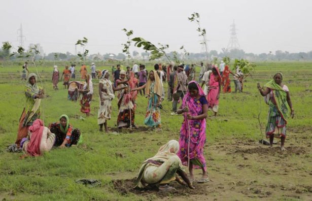 guniess_world_record_plant_trees_women_of_green