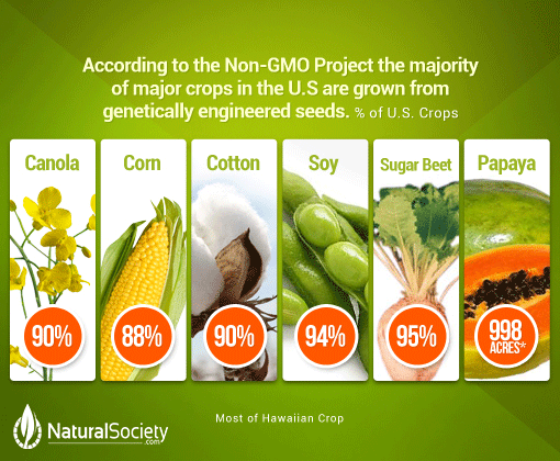 gmo-crops-women-of-green