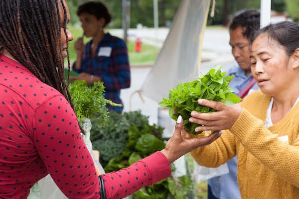 localize_food_farming_industry_women_of_green