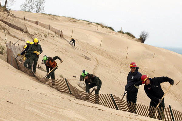 dune_restoration_work_resilience_through_restoration_women_of_green