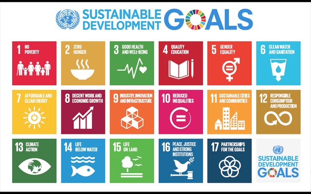 sustainable_development_goals_women_of_green