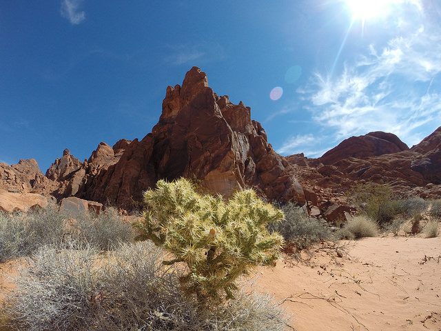 hiking_good_for_the_brain_women_of_green