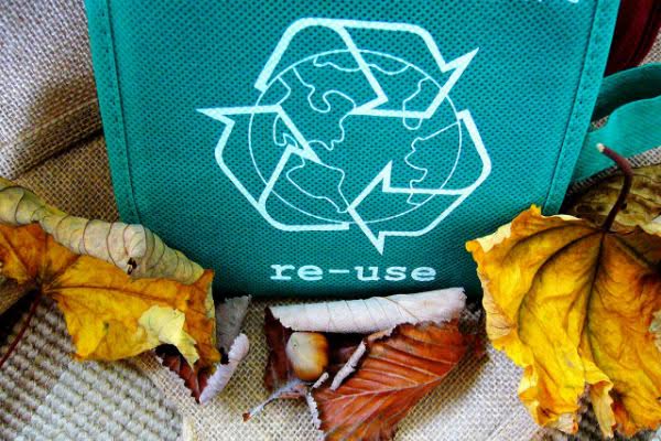 Remember Your Reusable Bags and Save the World