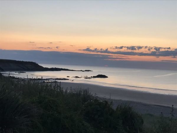 Sustainability in our DNA