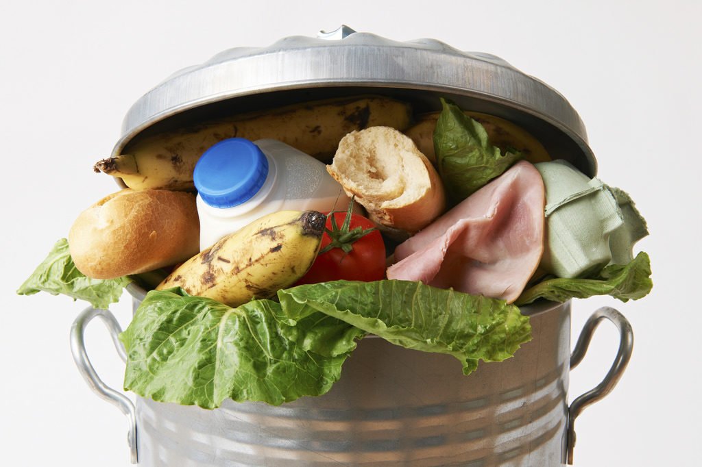 Guest-imator helps hosts reduce food waste